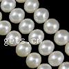 Button Cultured Freshwater Pearl Beads, natural Grade A, 8-9mm Approx 0.8mm Inch 