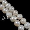 Potato Cultured Freshwater Pearl Beads, natural Grade A, 7-8mm Approx 0.8mm 