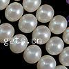 Bouton de culture des perles d'eau douce, perle d'eau douce cultivée, naturel, blanc, 12-13mm Environ 0.8mm pouce, Vendu par brin