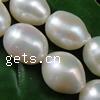 Perles d'eau douce de culture de riz, perle d'eau douce cultivée, naturel, multiple tailles pour le choix, blanc, grade A, 8-9mm Vendu par brin