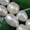 Perles d'eau douce de culture de riz, perle d'eau douce cultivée, naturel, multiple tailles pour le choix, blanc, 11-12mm Vendu par brin