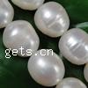 Rice Cultured Freshwater Pearl Beads, natural Grade AA, 11-12mm 