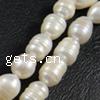 Rice Cultured Freshwater Pearl Beads, natural, white, Grade A, 8-9mm Approx 0.8mm .5 Inch 