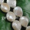 Coin Cultured Freshwater Pearl Beads, natural, white, 10mm Approx 0.8mm Inch 