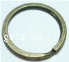 Eisen Schlüssel Split Ring, Kreisring, keine, Bohrung:ca. 19mm, verkauft von PC