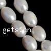 Rice Cultured Freshwater Pearl Beads, natural white, Grade AA, 11-12mm Inch 