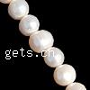 Potato Cultured Freshwater Pearl Beads, natural  Grade A .7 Inch 