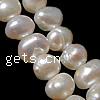 Potato Cultured Freshwater Pearl Beads, natural, white, 2-3mm Approx 0.8mm Inch 