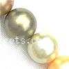 South Sea Shell Beads, Round mixed colors, lead free Inch 