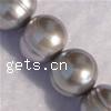 Perlas Patata Freshwater, Perlas cultivadas de agua dulce, diferentes estilos para la opción, gris, Grado A, 10-11mm, longitud:15.1 , Vendido por Sarta