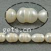 Rice Cultured Freshwater Pearl Beads, natural, white, Grade A, 7-8mm Approx 0.8mm .5 Inch 