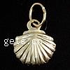 Gold Filled Pendants, Shell, 14K gold-filled & corrugated, gold Approx 3mm 