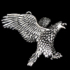 Zinc Alloy Animal Pendants, Eagle, plated nickel, lead & cadmium free Approx 4mm 