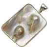 Brass Shell Pendants, with Pearl Shell, Rectangle Approx 6mm 