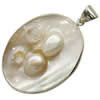 Pendentifs de coquille en laiton, avec Nacre perles, ovale plat, Placage de couleur platine Environ 6mm, Vendu par PC