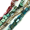 La Perla de Concha Natural, Nácar, Pepitas, color mixto, 9x8x7mm, longitud:aproximado 15 Inch, Vendido por Sarta