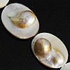 Natürliche weiße Muschelperlen, oval, 20-21x15-16x5-10mm, Bohrung:ca. 0.5mm, Länge:ca. 15 ZollInch, ca. 20PCs/Strang, verkauft von Strang