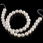 Potato Cultured Freshwater Pearl Beads, natural, white, Grade A, 10-11mm Approx 0.8mm .5 Inch 