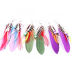 Fashion Feather Earring , iron earring hook, mixed colors 