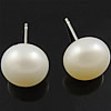 Freshwater Pearl Stud Earring, brass post pin, Dome 8mm 