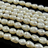 Perles d'eau douce de culture de riz, perle d'eau douce cultivée, naturel, blanc, grade A, 3mm Environ 0.8mm pouce, Vendu par brin