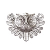 Various Zinc Alloy Component, Owl, plated nickel, lead & cadmium free Approx Approx 