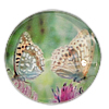 Druck Glascabochon, Glas, Münze, Kunstdruck, mit einem Muster von Schmetterling & verschiedene Größen vorhanden, verkauft von PC