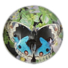 Decal Glass Cabochon, Coin, printing, with butterfly pattern 