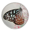 Decal Glass Cabochon, Coin, printing, with butterfly pattern 