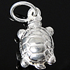 Sterling Silver Animal Pendants, 925 Sterling Silver, Turtle, plated Approx 3.5mm 
