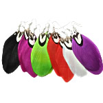 Fashion Feather Earring , iron earring hook, silver color plated, mixed, mixed colors 