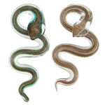 Кулоны лэмпворк в форме животного, Лэмпворк, Змея, разноцветный отверстие:Приблизительно 8.5mm, 12ПК/Box, продается Box
