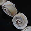 Trumpet Shell Beads, Helix, natural, 17-19x12-16mm Approx 1mm Approx 17.5 Inch, Approx 