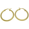Stainless Steel Hoop Earring, stainless steel hoop earring, golden 