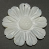 Резная подвеска из раковины, Белая ракушка, Форма цветка, резной отверстие:Приблизительно 1.2mm, 20ПК/Лот, продается Лот