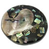 アワビ シェル ペンダント, アワビ貝, とともに 黒い貝, 楕円 穴:約 1mm, 10パソコン/ロト, 売り手 ロト