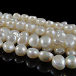 Barock kultivierten Süßwassersee Perlen, Natürliche kultivierte Süßwasserperlen, natürlich, weiß, Grade A, 7-8mm, Bohrung:ca. 0.8mm, Länge:14.5 ZollInch, verkauft von Strang