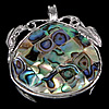 Abalone Shell Pendants, Brass, with Abalone Shell, platinum color plated, mosaic Approx 5mm 