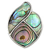 Abalone Shell Pendants, Brass, with Abalone Shell, platinum color plated Approx 