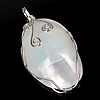 Brass Shell Pendants, with Freshwater Shell, Oval, platinum color plated, white, approx Approx 6.5mm 