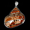 Trumpet Shell Pendant, Brass, with Trumpet Shell, Calabash, platinum color plated, approx Approx 