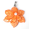 Brass Shell Pendants, with Shell & Freshwater Pearl, Flower, platinum color plated, reddish orange Approx 