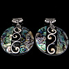 Abalone Shell Pendants, Brass, with Abalone Shell, Flat Round, platinum color plated, single-sided, approx 49-50x49-50x7-8mm Approx 