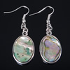 Abalone Shell Drop Earring, with Brass, Flat Oval, platinum color plated, approx 45mm Approx 1.7 Inch 
