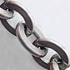 Нержавеющая сталь Овальном Сеть, нержавеющая сталь, Овальный цепь Приблизительно 100м/Strand, продается Strand