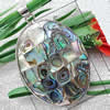 Brass Shell Pendants, with Abalone Shell, Flat Oval, platinum color plated, mosaic & double-sided 