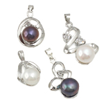Colgantes de perlas de agua dulce, Perlas cultivadas de agua dulce, con aleación de zinc, con diamantes de imitación, color mixto, libre de níquel, plomo & cadmio, 7-8mm, 20-32mm, agujero:aproximado 2-3mm, 20PCs/Bolsa, Vendido por Bolsa