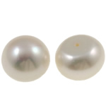 Perles nacres de culture d'eau douce demi percées , perle d'eau douce cultivée, bouton, naturel, semi-foré, blanc, grade AAA, 13-14mm Environ 0.8mm Vendu par lot