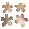 Natural Freshwater Shell Pendants, Flower, 48-50x50-52x1-2mm Approx 3mm 