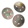 Connecteur de bijoux Coquillage, coquille noire, ovale plat, boucle 2/2 1.5-3.5mm Environ Approx 2.5mm, Vendu par PC